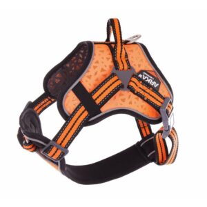 ARKA HAOK — Harnais multisports pour chien