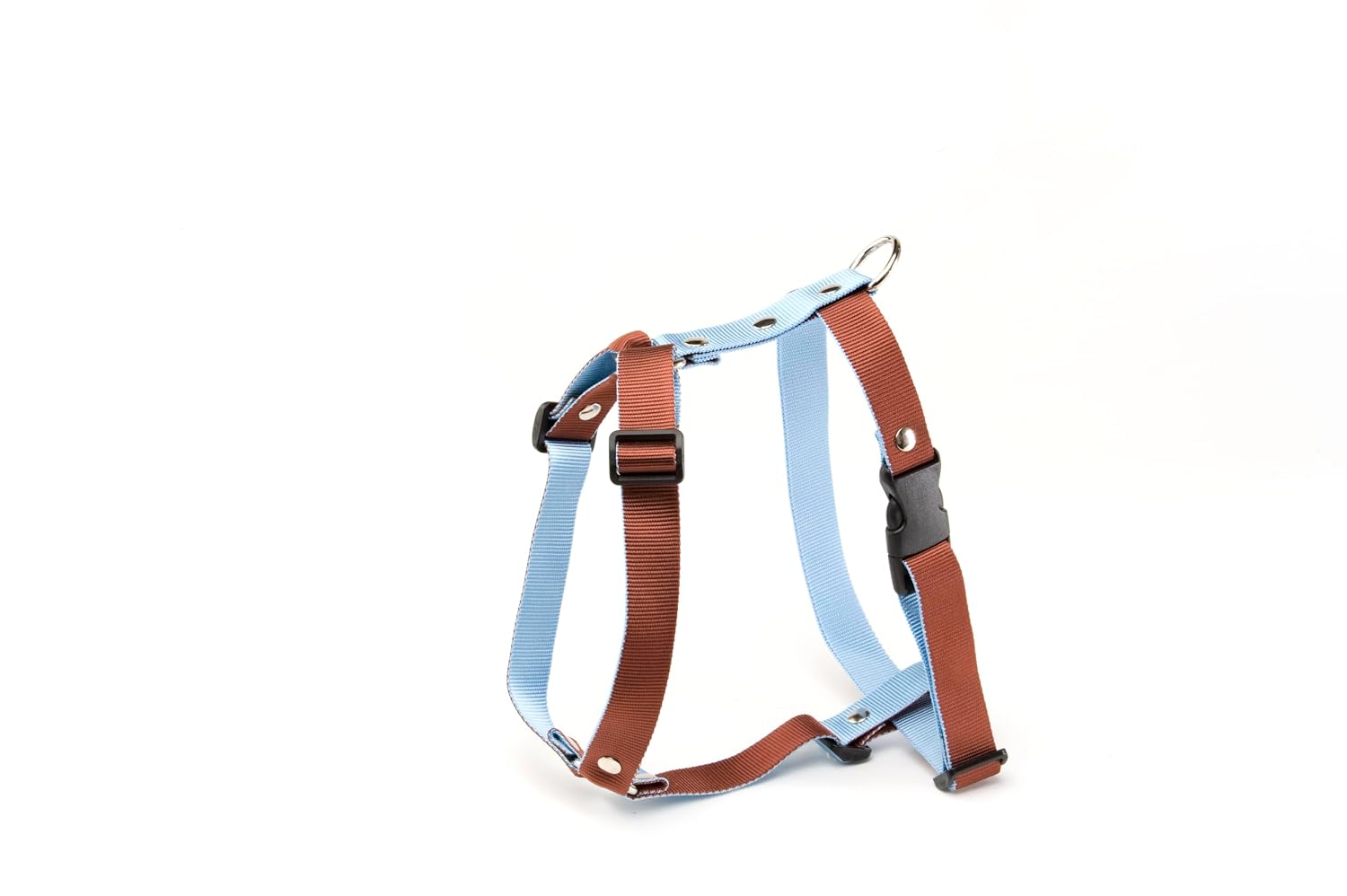 ALTEREGO — Harnais pour chien bleu et marron 45/65 cm x 25 mm