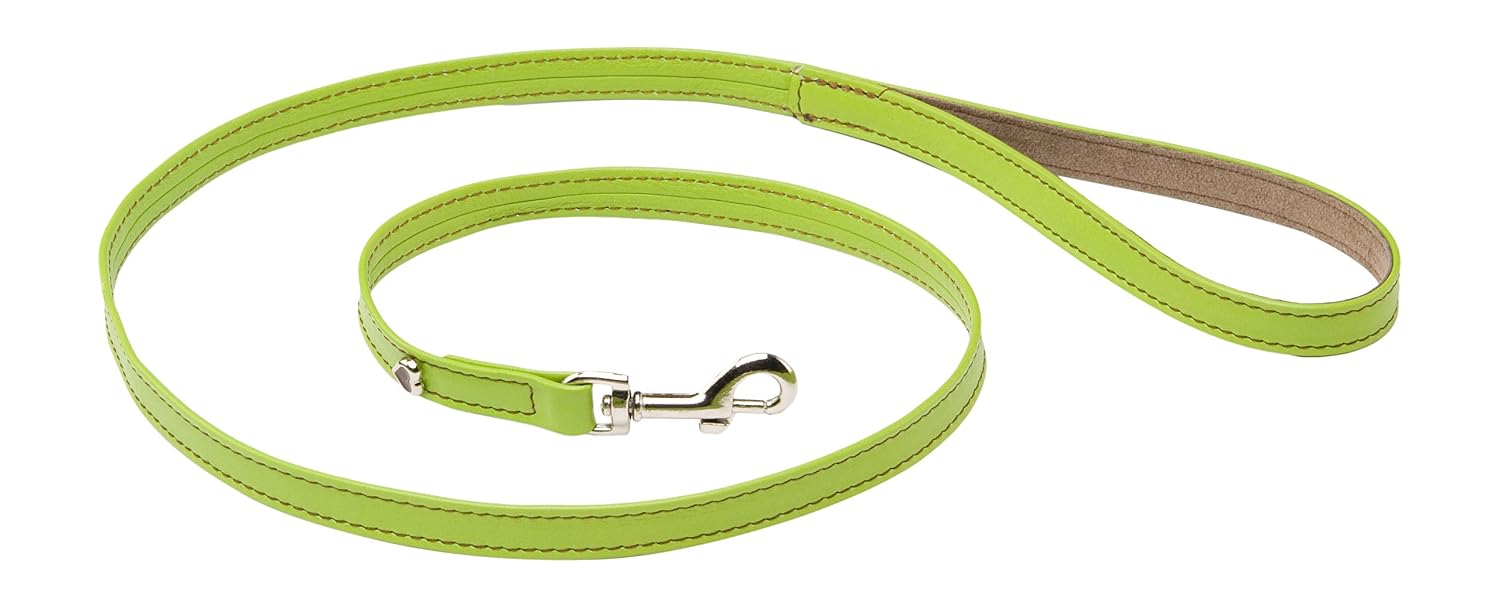 MARTIN SELLIER Citadine — Laisse en cuir pour chien verte S