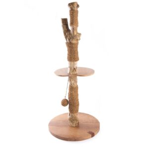 MARTIN Collection Café — Arbre à chat 2 niveaux 93 cm
