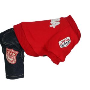 ALTER EGO — Pull pour chien rouge avec jean 26 cm