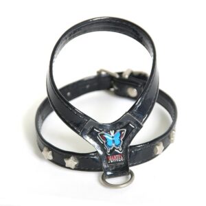 MARTIN SELLIER T30 — Harnais pour chien vernis étoile