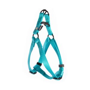 MARTIN SELLIER — Harnais baudrier classique en nylon turquoise
