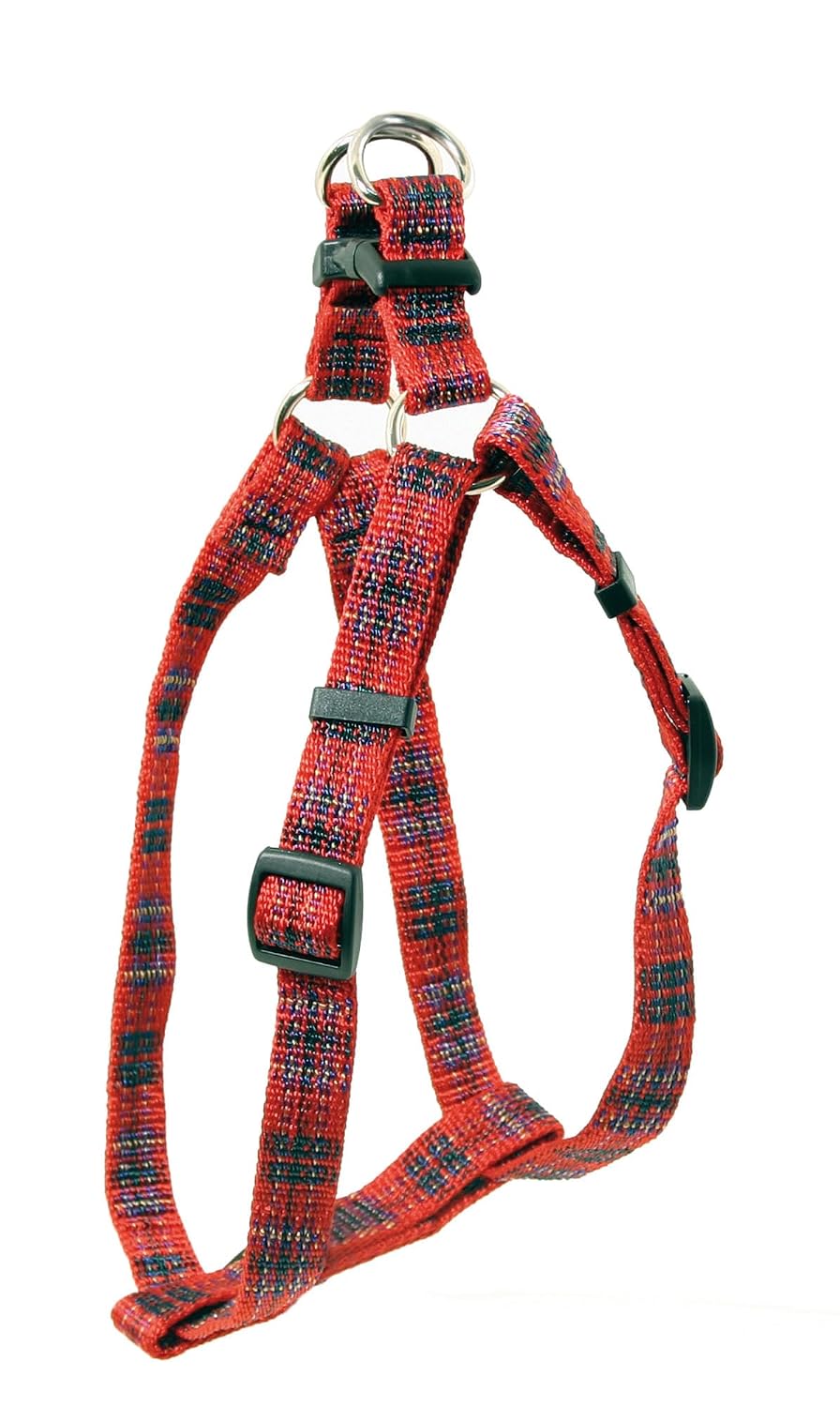 ARKA HAOK — Harnais baudrier kilt-plaid 20 mm 31/53 cm