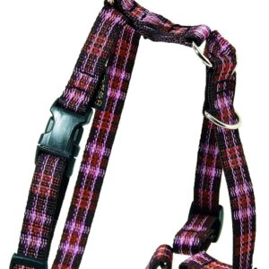 ARKA HAOK — Harnais ajustable 46-68 cm chili