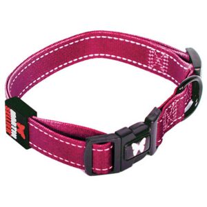 Kidstinct — Collier pour chien