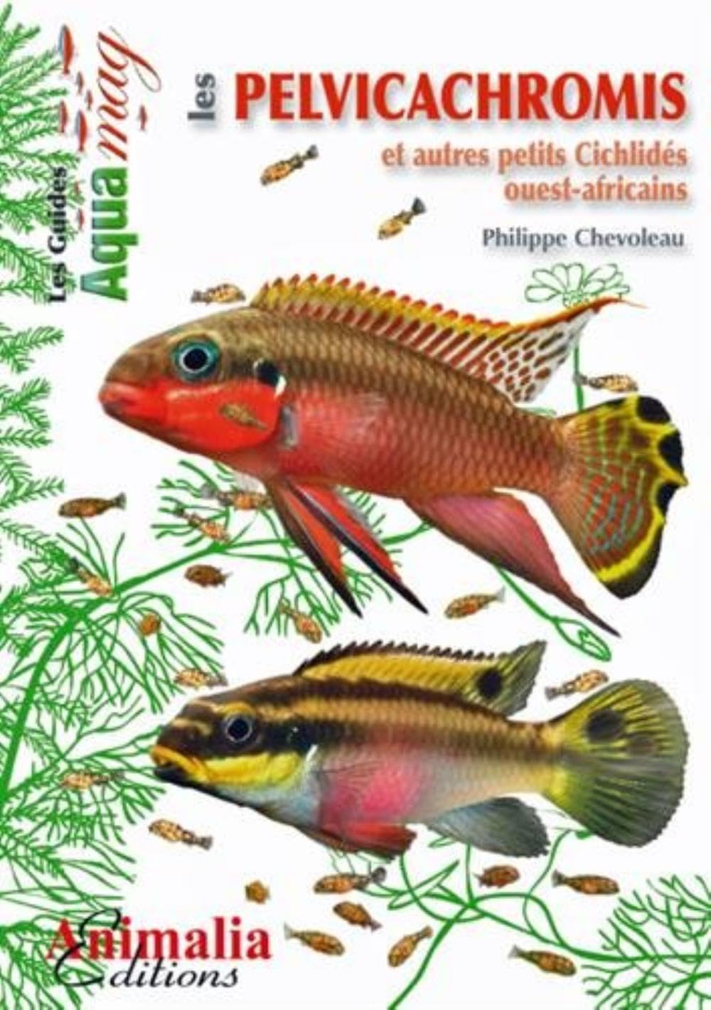 ANIMALIA — Livre sur les petits cichlidés ouest-africains