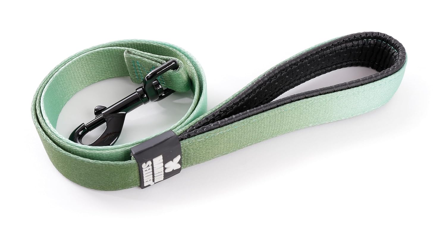MARTIN Color Vibe — Laisse en nylon grise 25-100