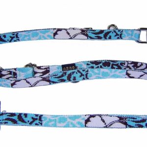 ARKA HAOK — Laisse de dressage 3 positions 25 mm x 220 cm