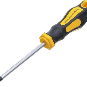 BGS Do it yourself — Tournevis Torx T25 lame 100 mm