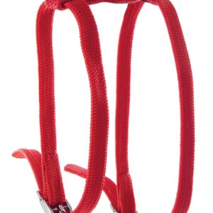 MARTIN — Harnais en H en nylon tubulaire pour chat
