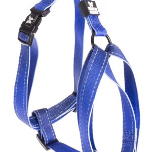 MARTIN Color Vibe — Harnais en nylon bleu