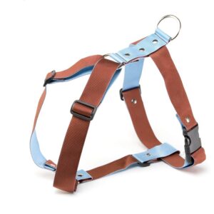 ALTER EGO — Harnais pour chien bleu et marron 65 à 100 cm