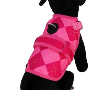 PAUL FRANK Avant Garde — Harnais pour chien 26 barres