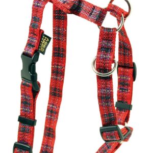 ARKA HAOK — Harnais kilt-plaid 14 mm 36/56 cm