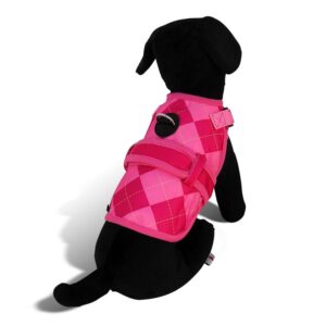 PAUL FRANK Avant Garde — Harnais pour chien 26 bars & a band