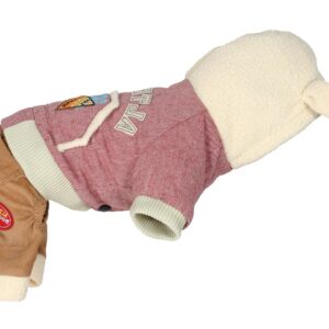 ALTER EGO — Pull pour chien teddy rose 22 cm