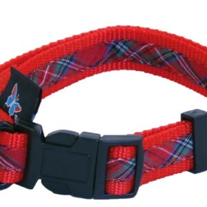 MARTIN SELLIER Benton — Collier réglable en nylon pour chien