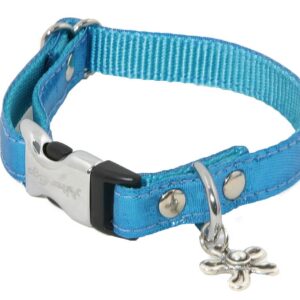 ALTER EGO Disco — Collier pour chien bleu taille S