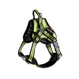 MARTIN ARKA — Harnais outdoor pour chien S jaune