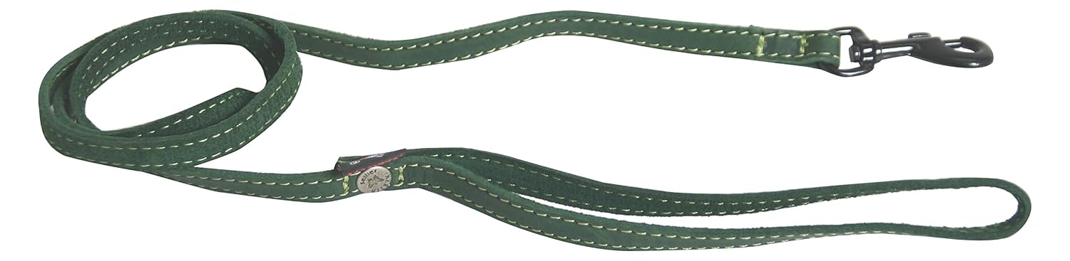 MARTIN SELLIER Nature — Laisse pour chien en cuir 10x100 cm vert