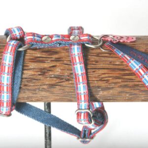 MARTIN SELLIER Dog Save — Harnais en nylon pour chien 20-50/70