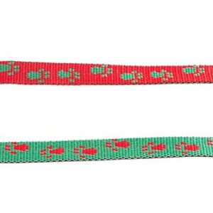 MARTIN SELLIER — Laisse pour chien en nylon rouge/vert 16/120 cm