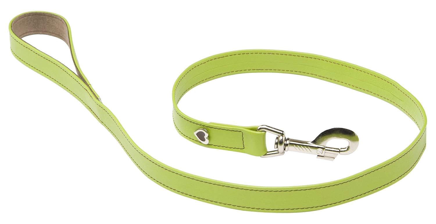 MARTIN SELLIER Citadine — Laisse en cuir pour chien verte L