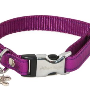ALTEREGO Disco Disco — Collier pour chien violet taille S