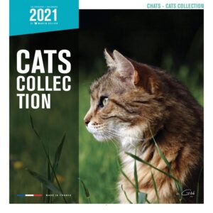 MARTIN SELLIER — Calendrier 2018 chats