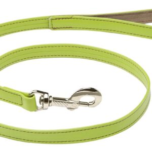 MARTIN SELLIER Citadine — Laisse en cuir pour chien verte M