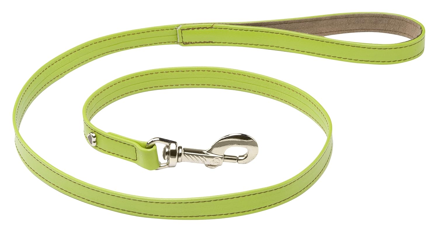 MARTIN SELLIER Citadine — Laisse en cuir pour chien verte M
