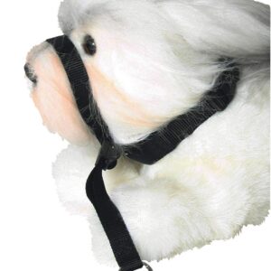 MARTIN SELLIER — Licol en nylon pour chien MM
