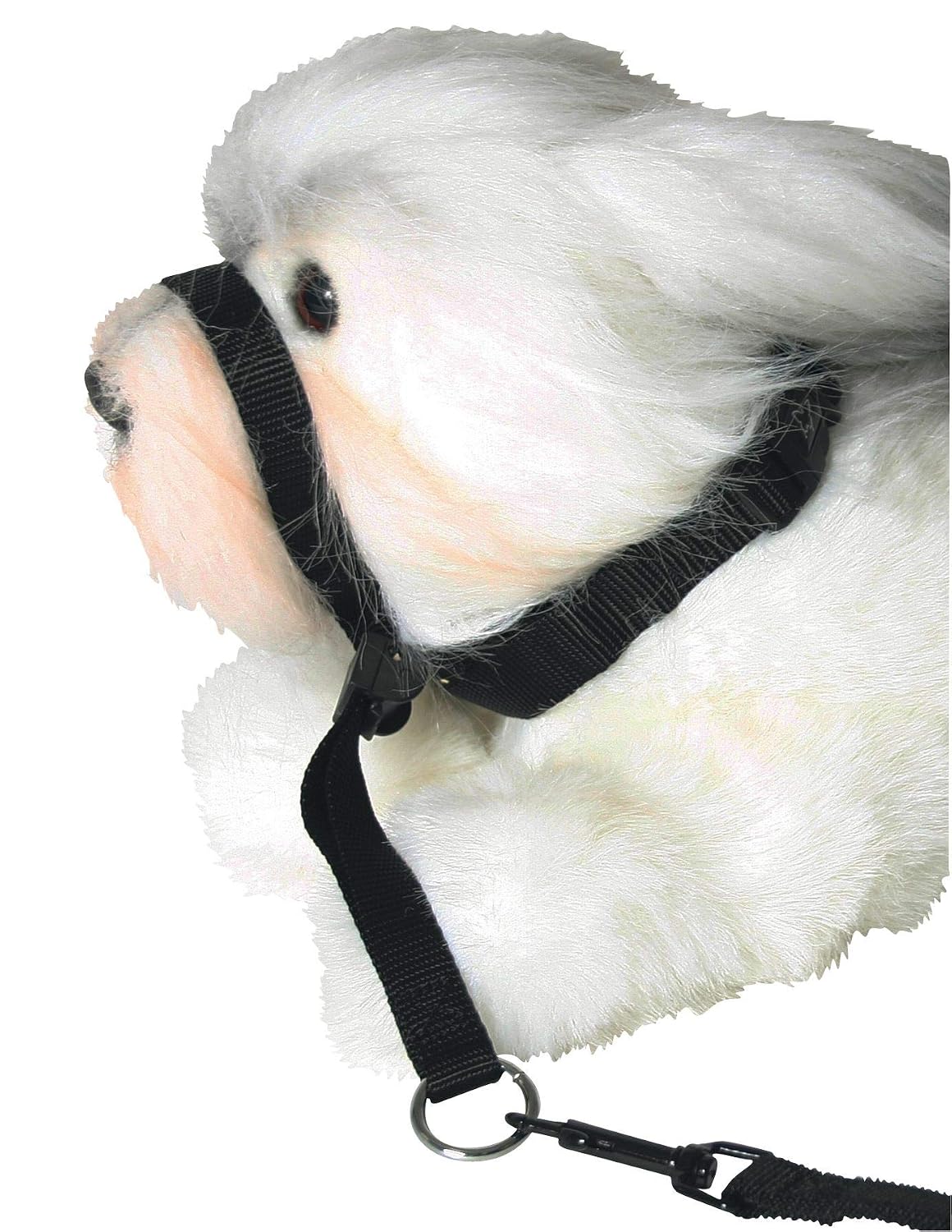 MARTIN — Licol en nylon pour chien PM