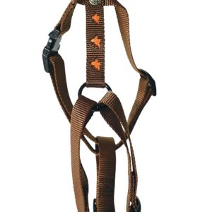 MARTIN SELLIER — Harnais chien nylon motif papillon orange