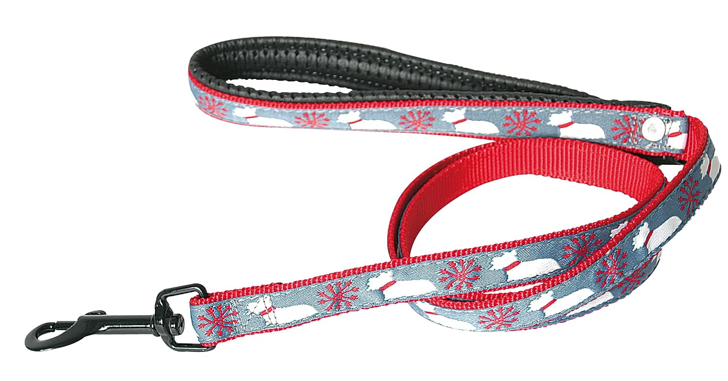MARTIN SELLIER Scoot Snow — Laisse en nylon 10 mm x 100 cm