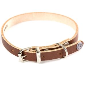 MARTIN SELLIER — Collier classique en cuir marron pour chien