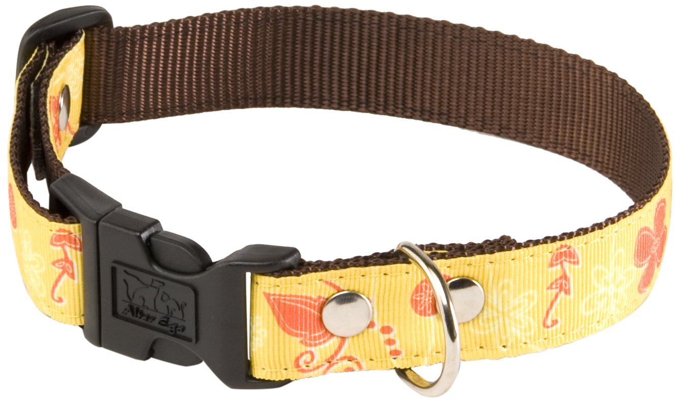 MARTIN SELLIER Floralies — Collier pour chien jaune 25 mm M