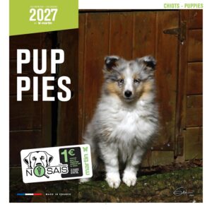 MARTIN SELLIER — Calendrier Chiots 2027