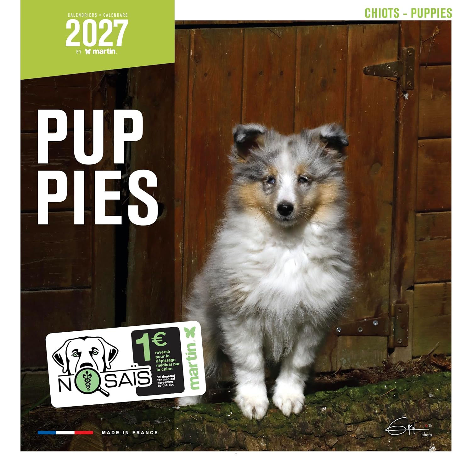 MARTIN SELLIER — Calendrier Chiots 2027