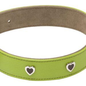 MARTIN SELLIER Citadine — Collier en cuir pour chien vert L
