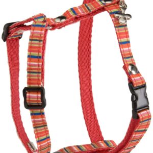 MARTIN SELLIER Rainbow — Harnais pour chien orange XS 10 mm