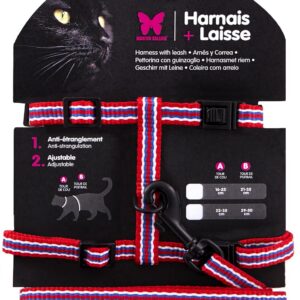 MARTIN — Set harnais et laisse en nylon pour chat