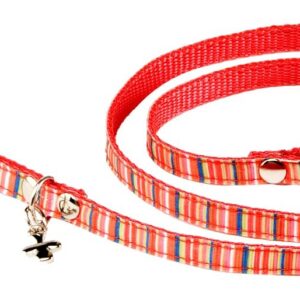 MARTIN SELLIER Rainbow — Laisse pour chien orange 10 mm XS