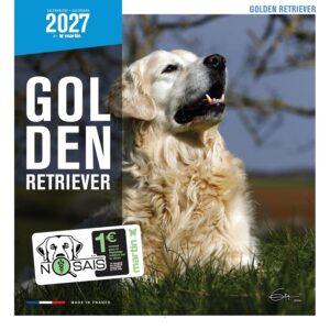 MARTIN SELLIER — Calendrier Golden Retriever 2027