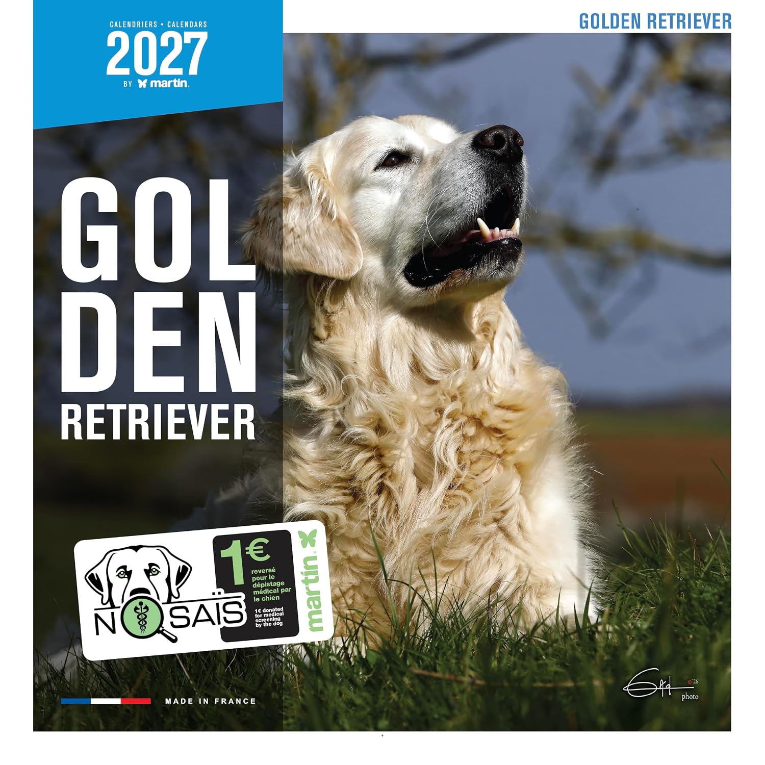 MARTIN SELLIER — Calendrier Golden Retriever 2027