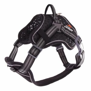 MARTIN SELLIER ARKA — Harnais outdoor pour chien gris S