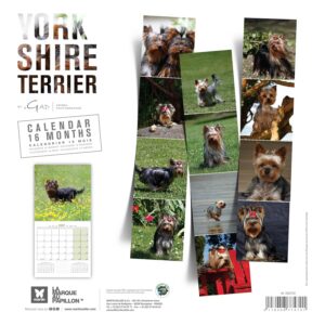 MARTIN — Calendrier Yorkshire 2027